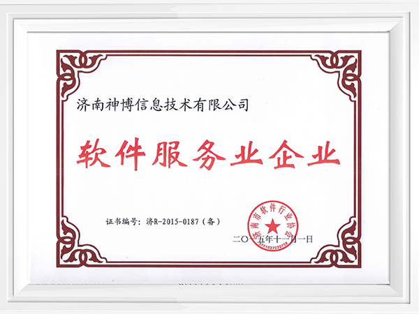 Seenboom: A software service enterprise