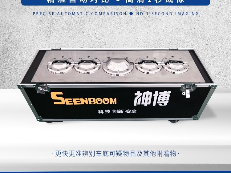 Undercarriage security check