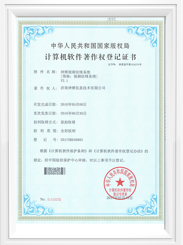 Video detection systemV2.1Copyright